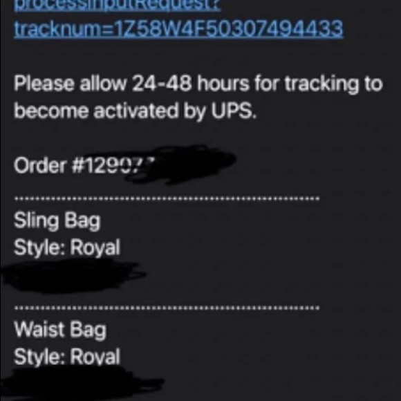 Authentic Supreme Dead stock Royal Blue Waist Bag - Picture 9 of 10